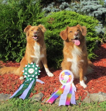 Chloe and Bounty ATChC ribbons 2013